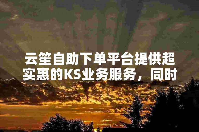 云笙自助下单平台提供超实惠的KS业务服务，同时支持抖音业务免费自助下单。