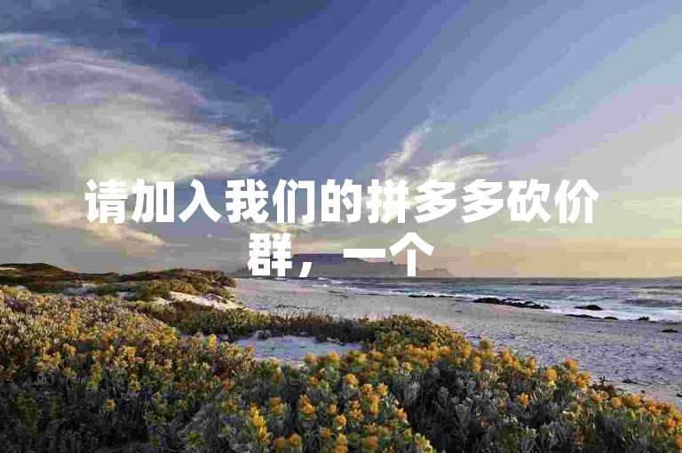请加入我们的拼多多砍价群，一个500人活跃的互助社区，完全免费且充满热情。