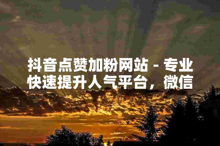 抖音点赞加粉网站 - 专业快速提升人气平台，微信 QQ群互赞。