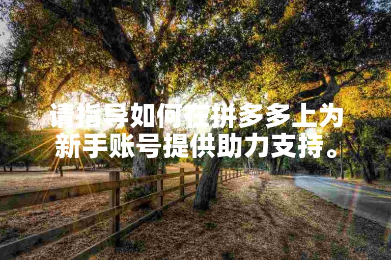 请指导如何在拼多多上为新手账号提供助力支持。