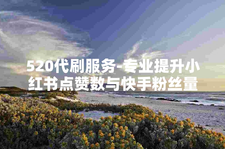 520代刷服务-专业提升小红书点赞数与快手粉丝量，全网最具性价比之选。