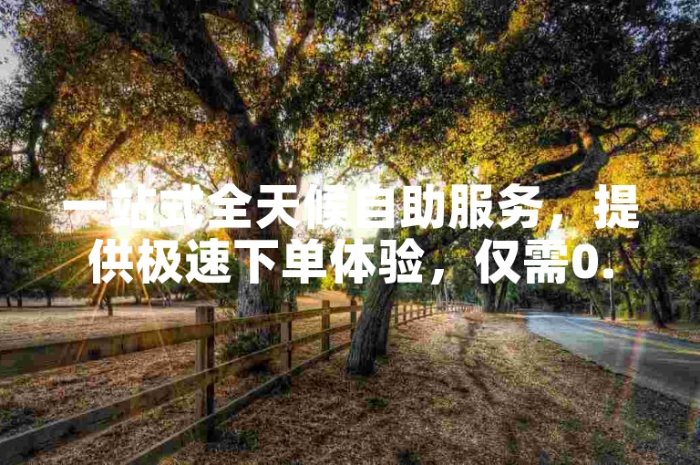 一站式全天候自助服务，提供极速下单体验，仅需0.1元即可获得10000个赞的便捷网站通道。