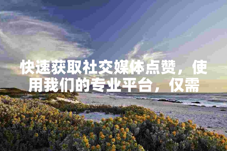 快速获取社交媒体点赞，使用我们的专业平台，仅需一元即可获得1000个赞，立即体验服务的高效与便捷。