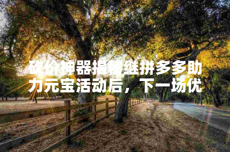 砍价神器揭秘继拼多多助力元宝活动后，下一场优惠盛宴会是什么？