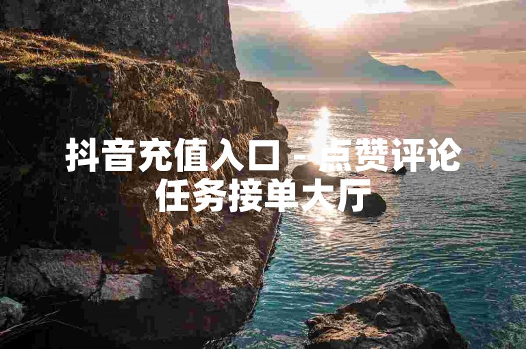 抖音充值入口 - 点赞评论任务接单大厅