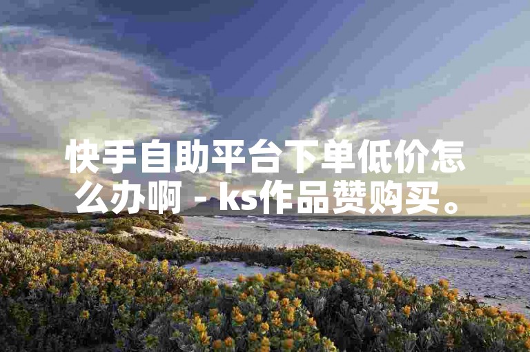 快手自助平台下单低价怎么办啊 - ks作品赞购买。