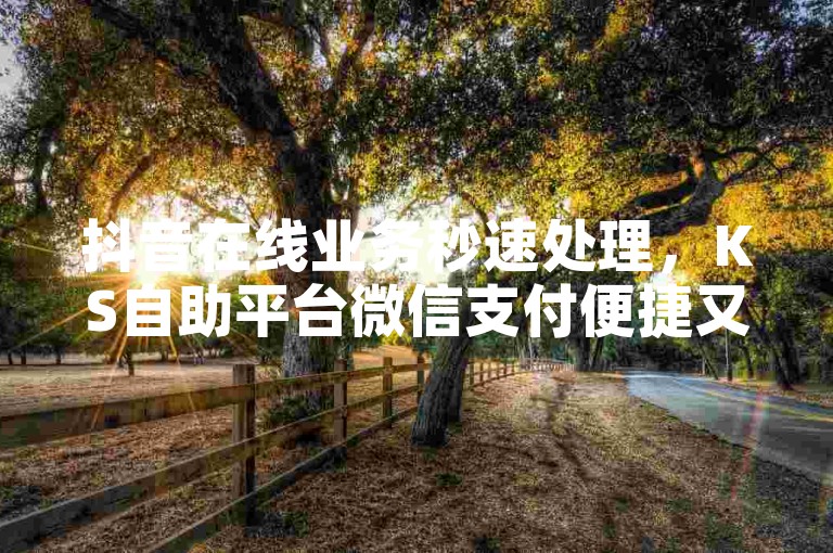 抖音在线业务秒速处理，KS自助平台微信支付便捷又安全！