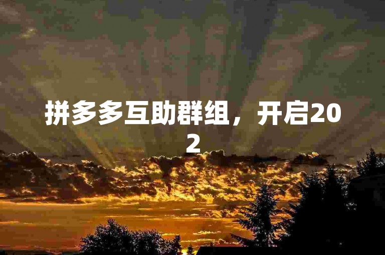 拼多多互助群组，开启2025年社交助力的新纪元。