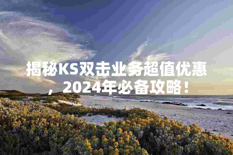 揭秘KS双击业务超值优惠，2024年必备攻略！