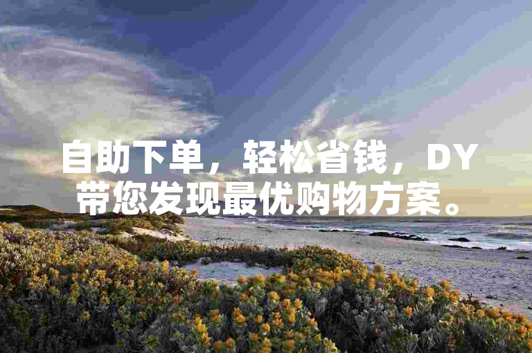 自助下单，轻松省钱，DY带您发现最优购物方案。