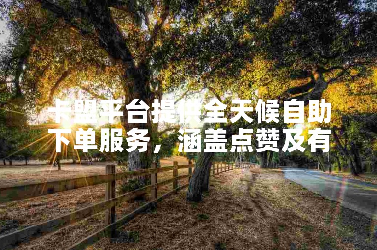 卡盟平台提供全天候自助下单服务，涵盖点赞及有赞商城业务。