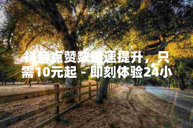 抖音点赞数迅速提升，只需10元起 - 即刻体验24小时自助服务应用。