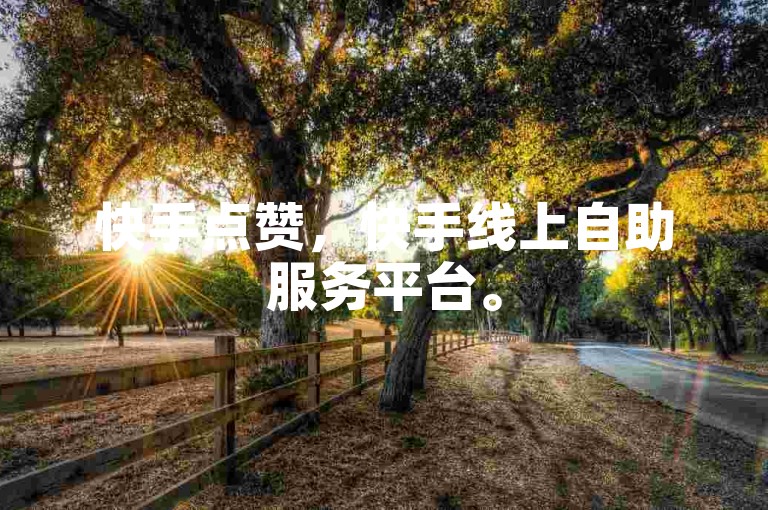 快手点赞，快手线上自助服务平台。