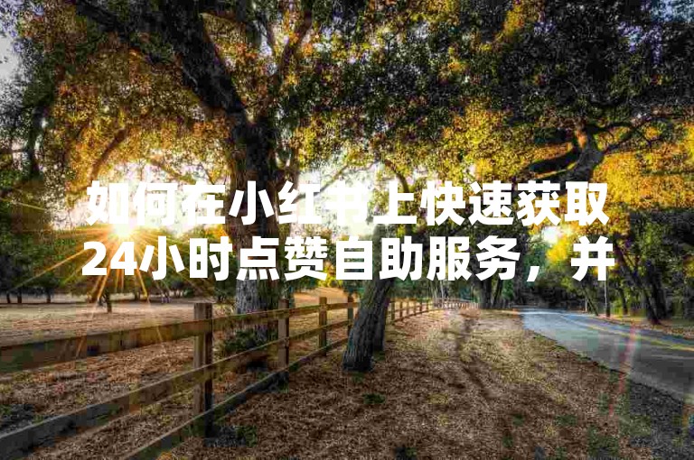 如何在小红书上快速获取24小时点赞自助服务，并了解KS自助下单平台的使用方法？