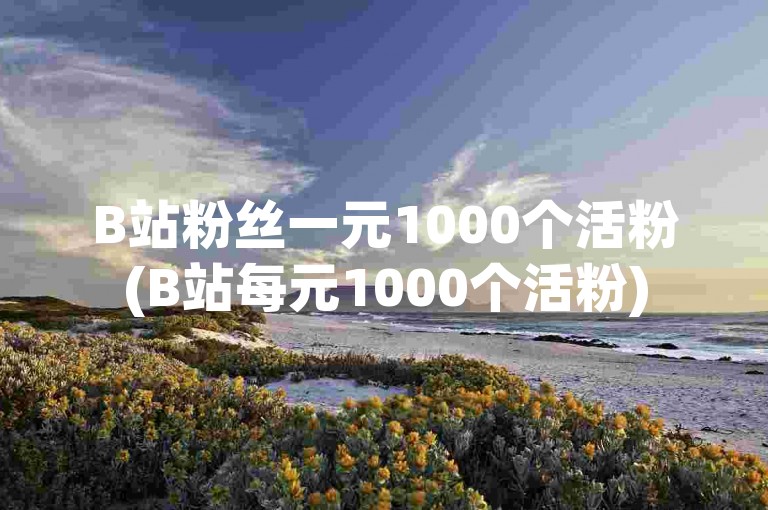 B站粉丝一元1000个活粉(B站每元1000个活粉)