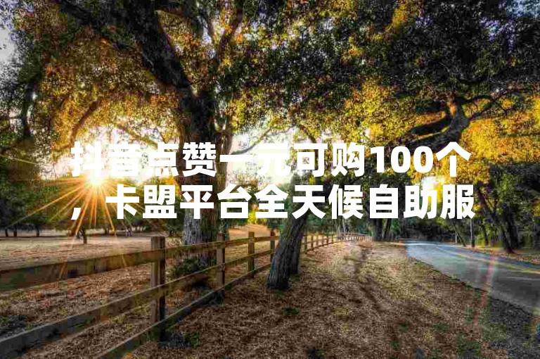 抖音点赞一元可购100个，卡盟平台全天候自助服务。