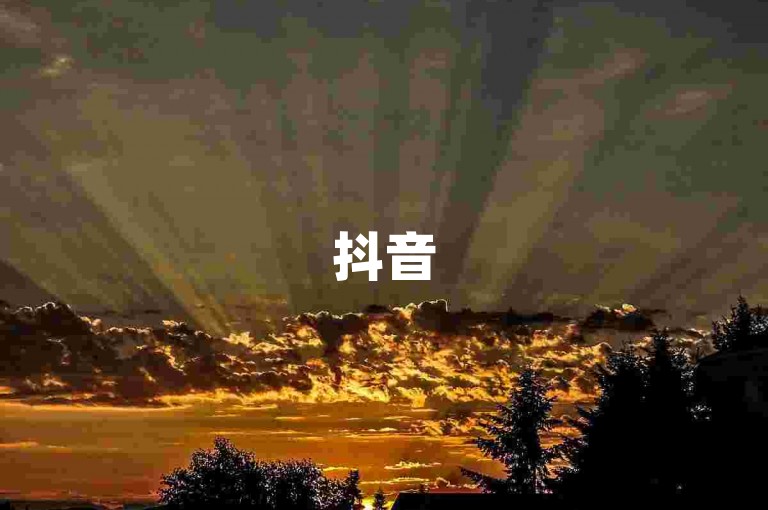 抖音5元1000粉丝 - 刷评论文章20条