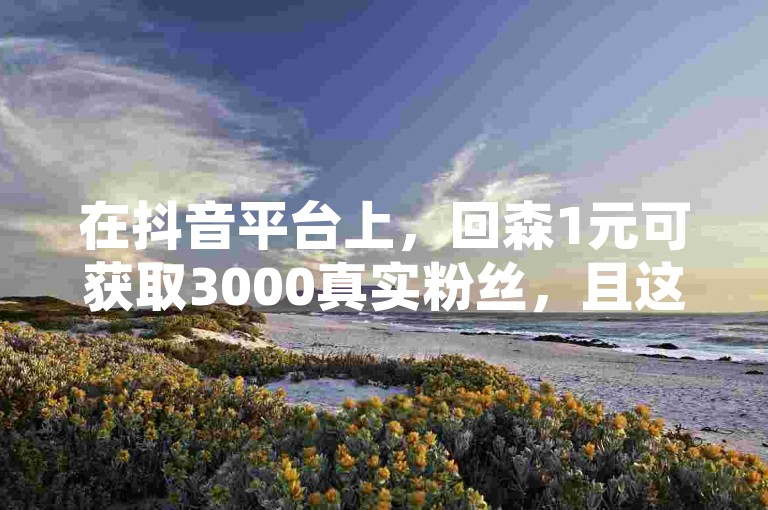 在抖音平台上，回森1元可获取3000真实粉丝，且这些粉丝不会流失，同时提供免费的视频点赞服务及24小时自助下单平台。