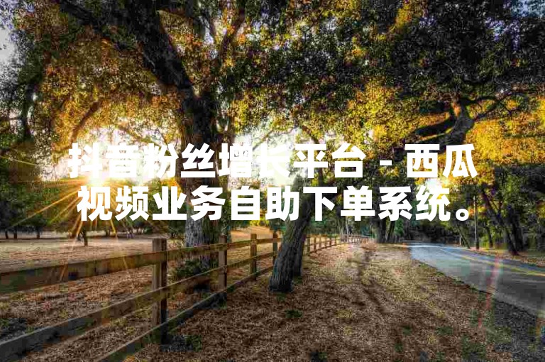 抖音粉丝增长平台 - 西瓜视频业务自助下单系统。