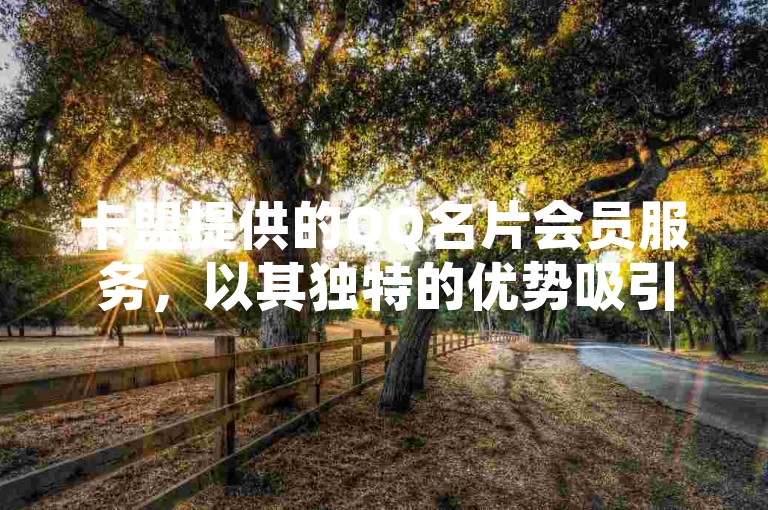 卡盟提供的QQ名片会员服务，以其独特的优势吸引了众多用户的关注。