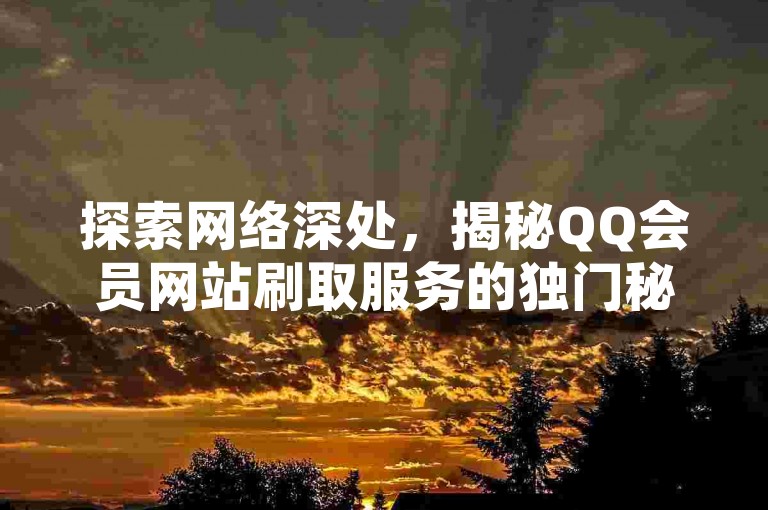 探索网络深处，揭秘QQ会员网站刷取服务的独门秘籍，2025年必备技能！