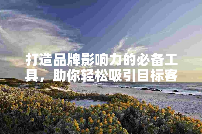 打造品牌影响力的必备工具，助你轻松吸引目标客户。