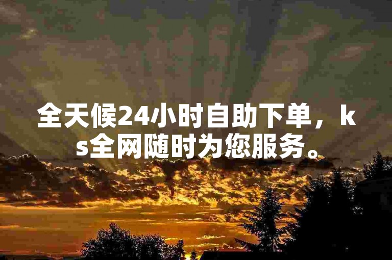 全天候24小时自助下单，ks全网随时为您服务。