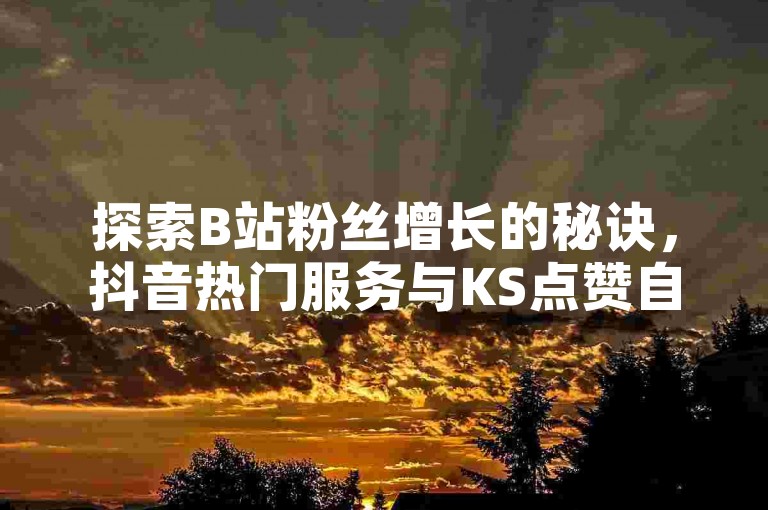 探索B站粉丝增长的秘诀，抖音热门服务与KS点赞自助平台等你来揭秘！