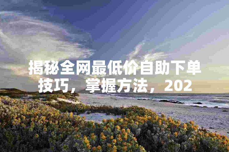 揭秘全网最低价自助下单技巧，掌握方法，2025年轻松享受超值服务！