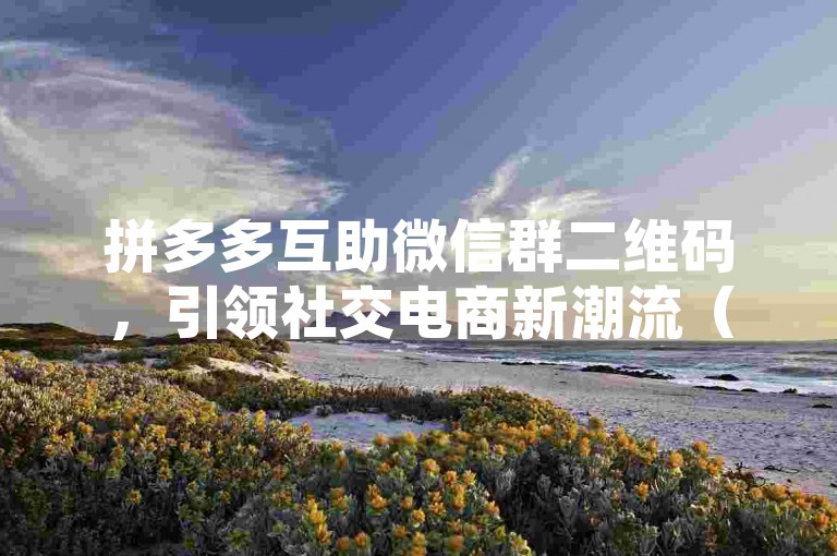 拼多多互助微信群二维码，引领社交电商新潮流（2025前瞻）
