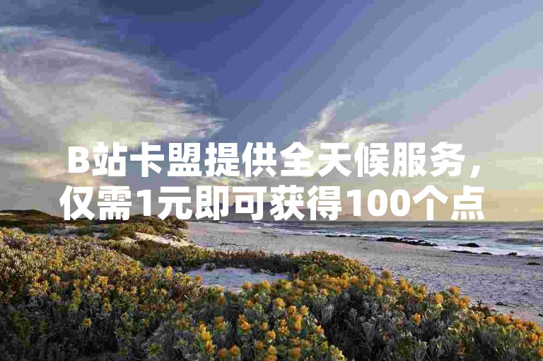 B站卡盟提供全天候服务，仅需1元即可获得100个点赞，同时支持拼多多砍价和QQ空间浏览量提升。