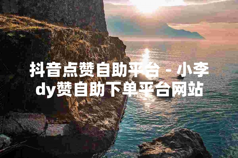抖音点赞自助平台 - 小李dy赞自助下单平台网站