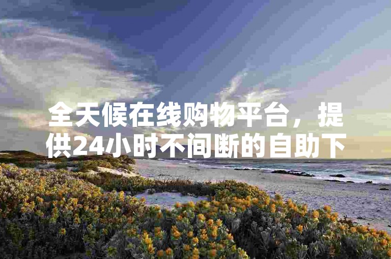 全天候在线购物平台，提供24小时不间断的自助下单服务，享受全网最低价格。