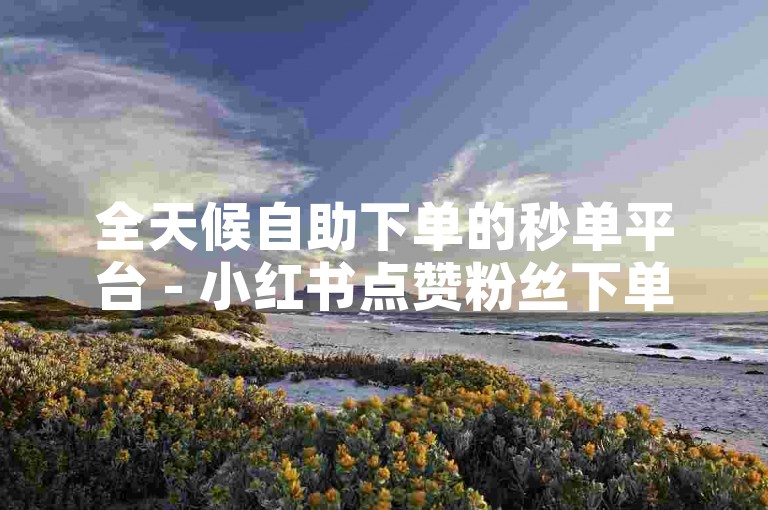 全天候自助下单的秒单平台 - 小红书点赞粉丝下单优惠平台