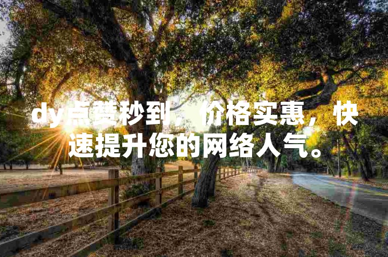 dy点赞秒到，价格实惠，快速提升您的网络人气。