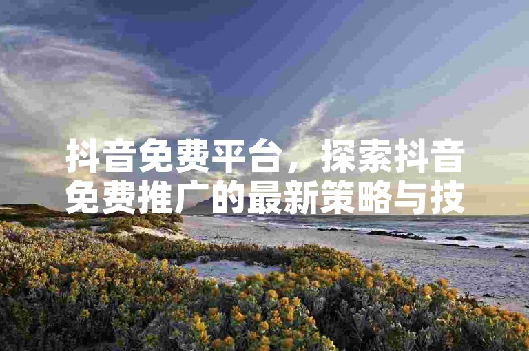 抖音免费平台，探索抖音免费推广的最新策略与技巧？