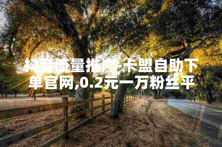 抖音流量推广-卡盟自助下单官网,0.2元一万粉丝平台