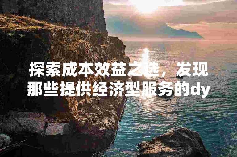 探索成本效益之选，发现那些提供经济型服务的dy业务平台。