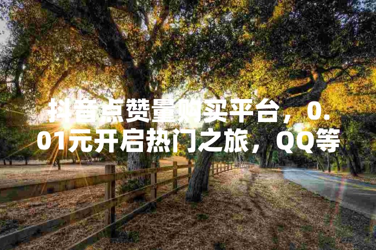 抖音点赞量购买平台，0.01元开启热门之旅，QQ等级加速服务，瞬间成就VIP6 - 全网最全业务自助下单平台，拼多多砍价神器v2.5全新升级。