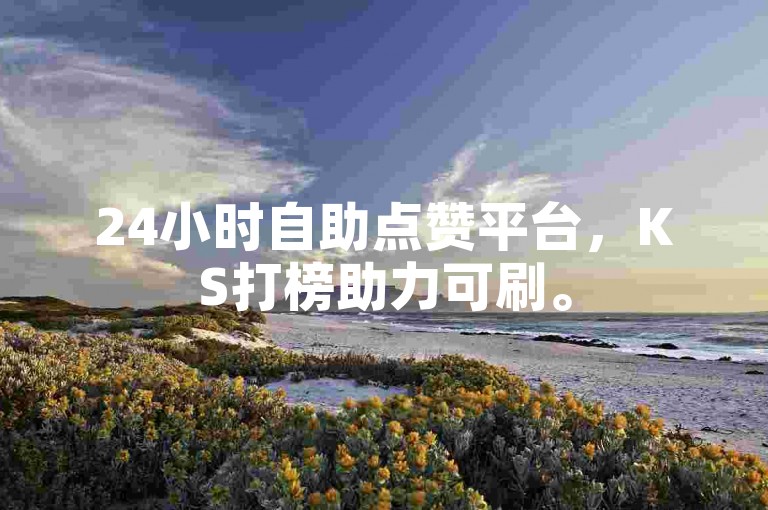 24小时自助点赞平台，KS打榜助力可刷。