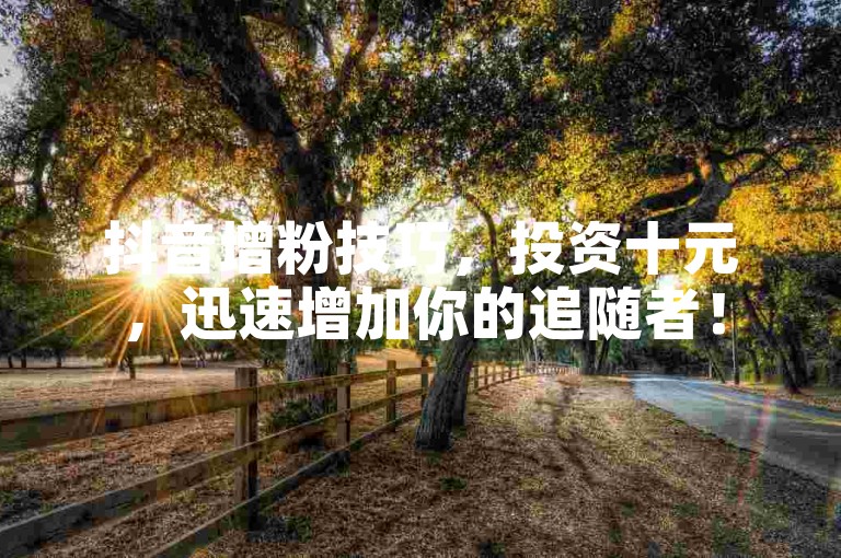 抖音增粉技巧，投资十元，迅速增加你的追随者！