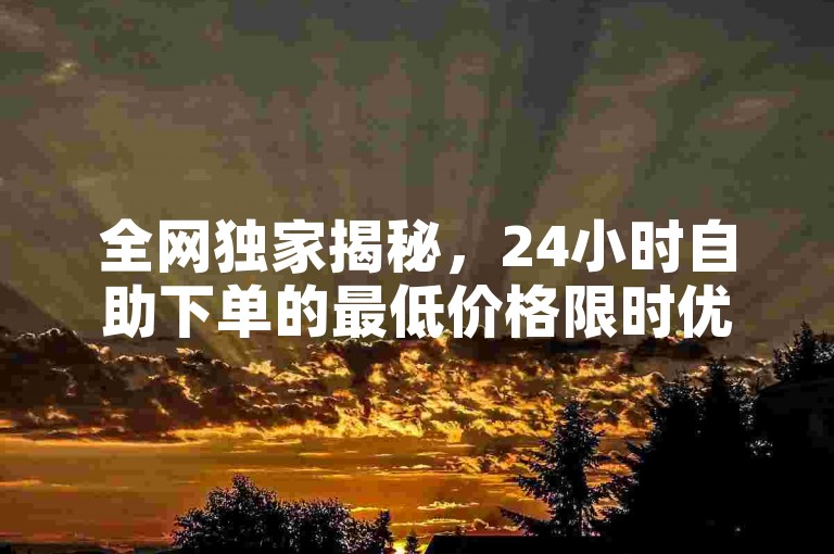 全网独家揭秘，24小时自助下单的最低价格限时优惠，2025年必备知识！