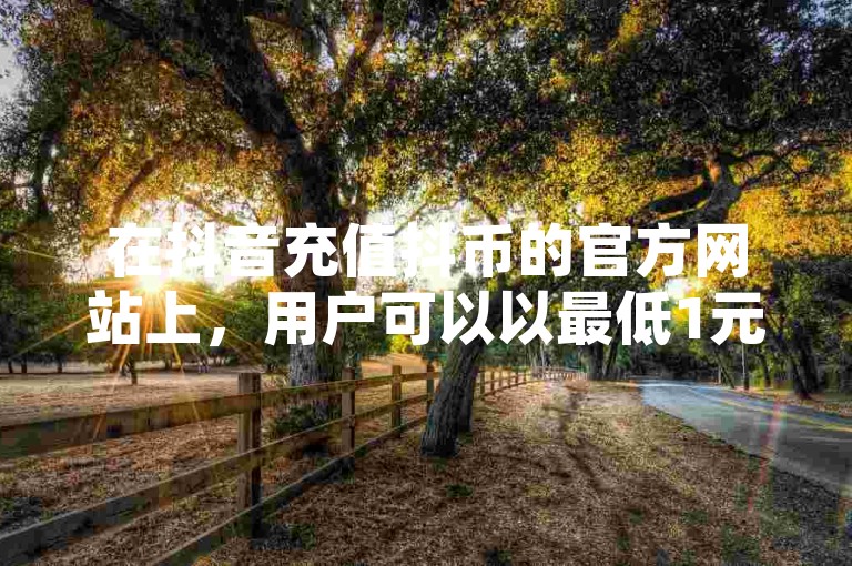 在抖音充值抖币的官方网站上，用户可以以最低1元的价格进行充值。