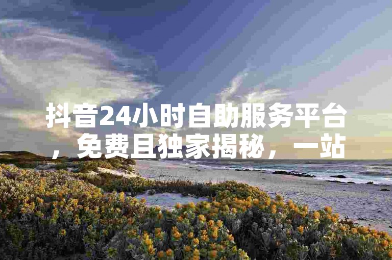 抖音24小时自助服务平台，免费且独家揭秘，一站式解决方案，让你轻松应对各种挑战，2025年必备技能！
