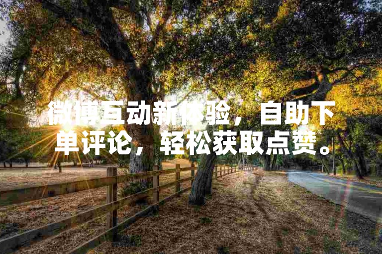 微博互动新体验，自助下单评论，轻松获取点赞。