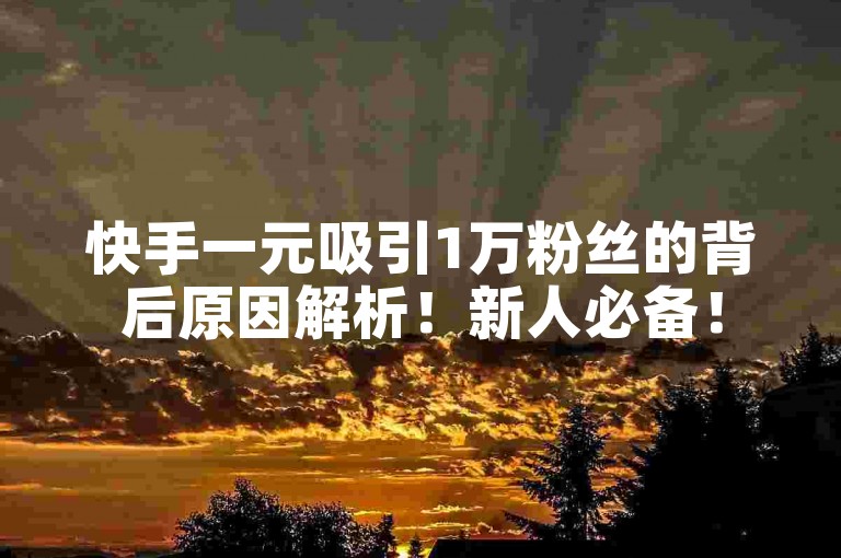 快手一元吸引1万粉丝的背后原因解析！新人必备！