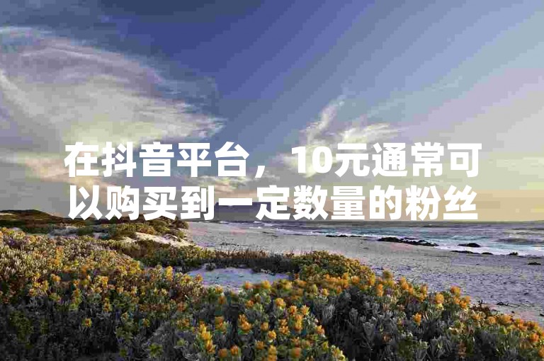 在抖音平台，10元通常可以购买到一定数量的粉丝增长服务，但具体能涨多少粉丝则因服务提供商和活动而异。