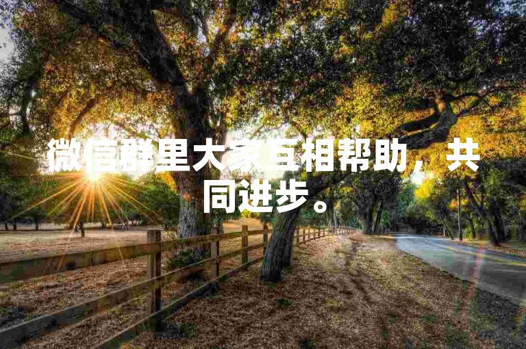 微信群里大家互相帮助，共同进步。