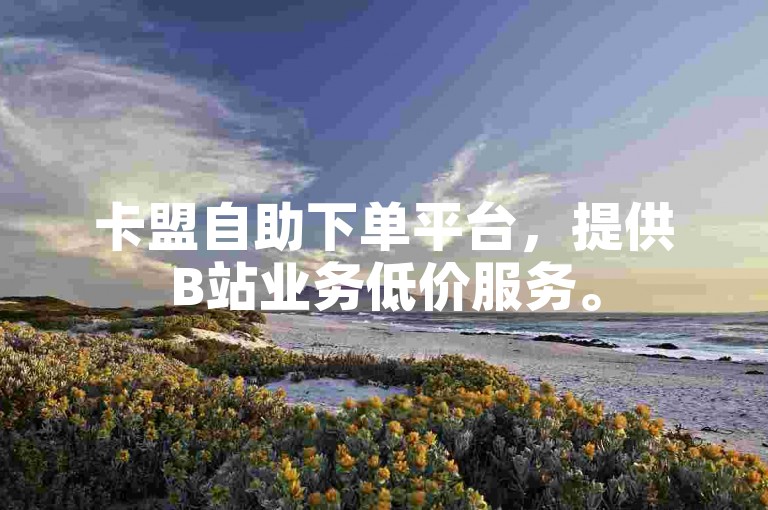 卡盟自助下单平台，提供B站业务低价服务。