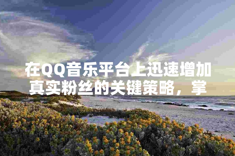 在QQ音乐平台上迅速增加真实粉丝的关键策略，掌握在QQ音乐上有效购买真人粉丝的方法，详尽教程与步骤解析，为初学者提供全面指导！